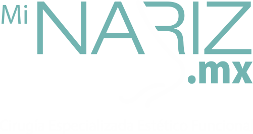 Logo Mi Nariz MX